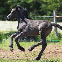 101266375 569749260593235 7397129166384005120 n