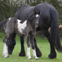 10168071 10203538516973032 763503630 n