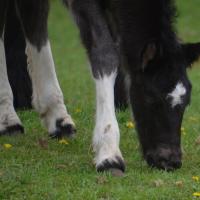 10169462 10203538517173037 108705110 n 1 