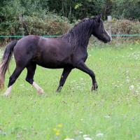 10478631 889090277791397 1513527215609387788 o 1