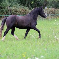 10478631 889090277791397 1513527215609387788 o