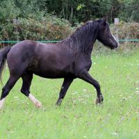 1396847 838704839496608 6943974528878781824 o