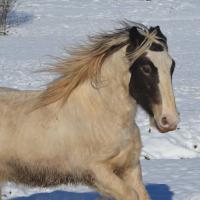 151570343 1728886117290753 6040722977452074153 n