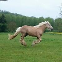 18301780 1191097484353052 5348497277344876509 n