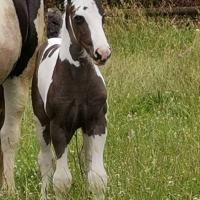 209006872 844519786185123 3478320660654507498 n