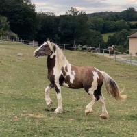 241061550 4530971996967174 4828647917623933940 n