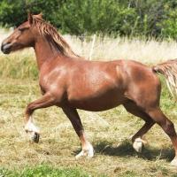 271376150 2126142770884849 8579470476161983408 n