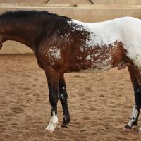 28619588 863714810475634 5876502014854985951 o