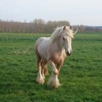 542930 10211561126121225 7614568790601525232 n