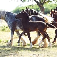 66704841 2053370908306127 1405823116164202496 n