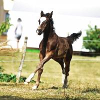 66872075 2283066225133852 6793765473377845248 n