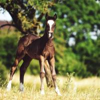 67220101 1247816312058336 3400968990049173504 n