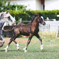 69544318 376335573040105 8274429159179026432 n