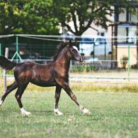 69584864 370765140481411 5864211134638194688 n