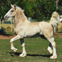 70391945 2385327928171564 7495585072532160512 n