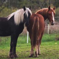 73285030 2471244792993640 3732047561968582656 n