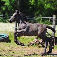 82568494 265705844630660 6503138479705161728 n