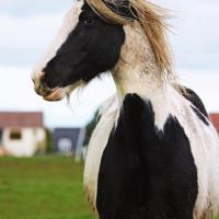 89257061 2823004241099743 5829159631657631744 n