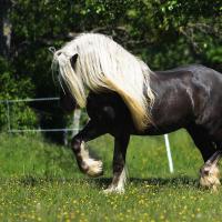 99077751 3035760713143837 8540106653469507584 o