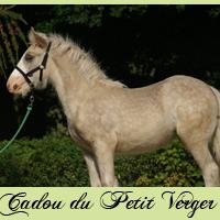 a-vendre-cadou.jpg