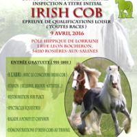 Affiche ql lbc monsite 1