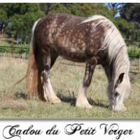 Cadou du Petit Verger