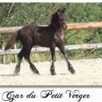 Czar du Petit Verger