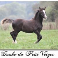 Danko du Petit Verger