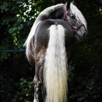 Dsc 0260 redimenstionnee