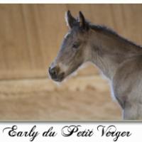 Early du Petit Verger