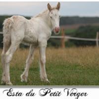 Esta du Petit Verger