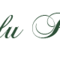 Gamay vert sans fond