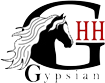 Logo gypsian 1