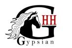 Logo gypsian