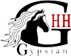 Logo gypsian