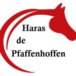 Logo haras de pfaffenhoffen 150x150