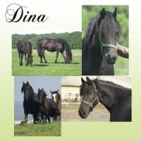 Dina
