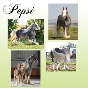 Présentation's Pepsi